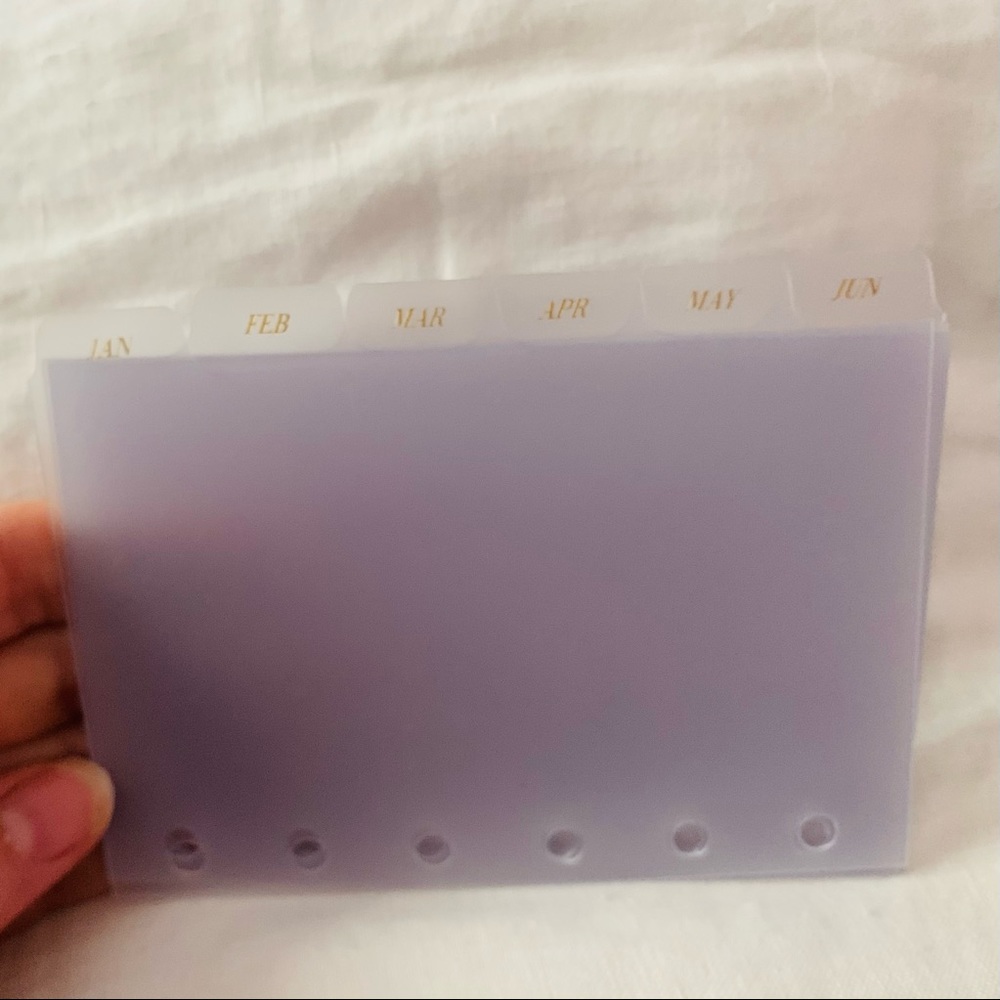 Pocket size monthly dividers